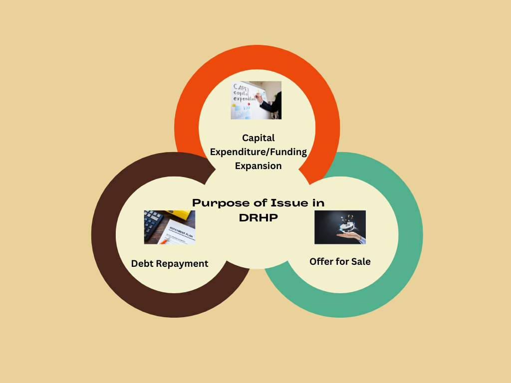 Purpose of IPO and why company is raising money