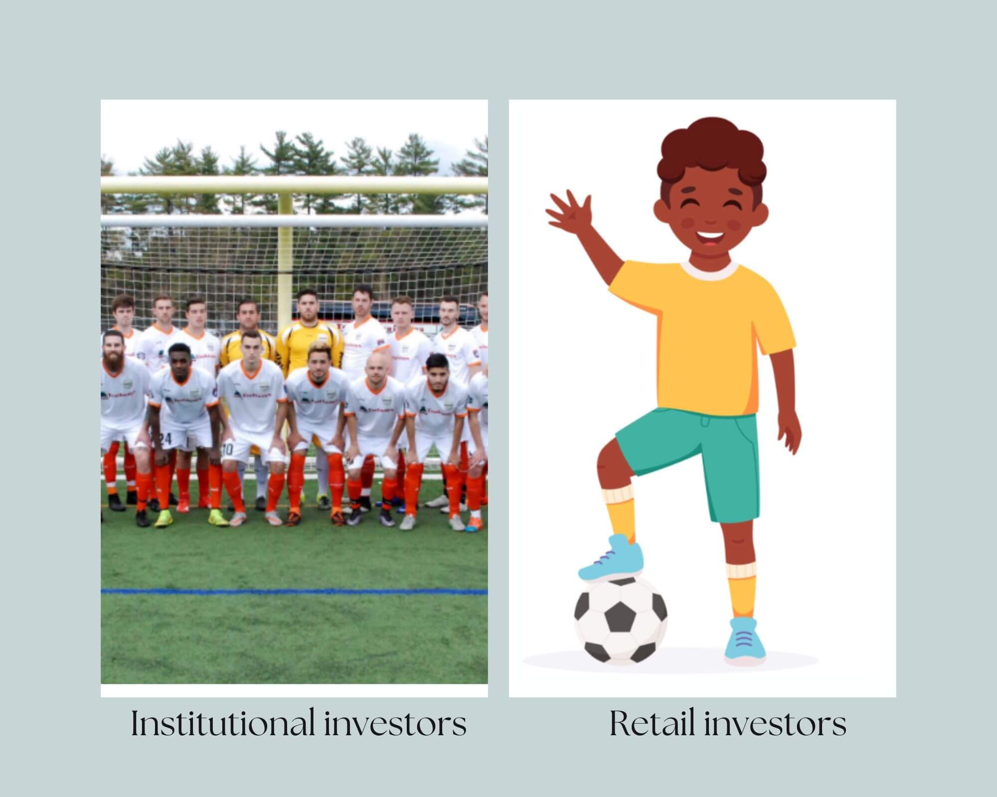 Retail vs Institutional Investors