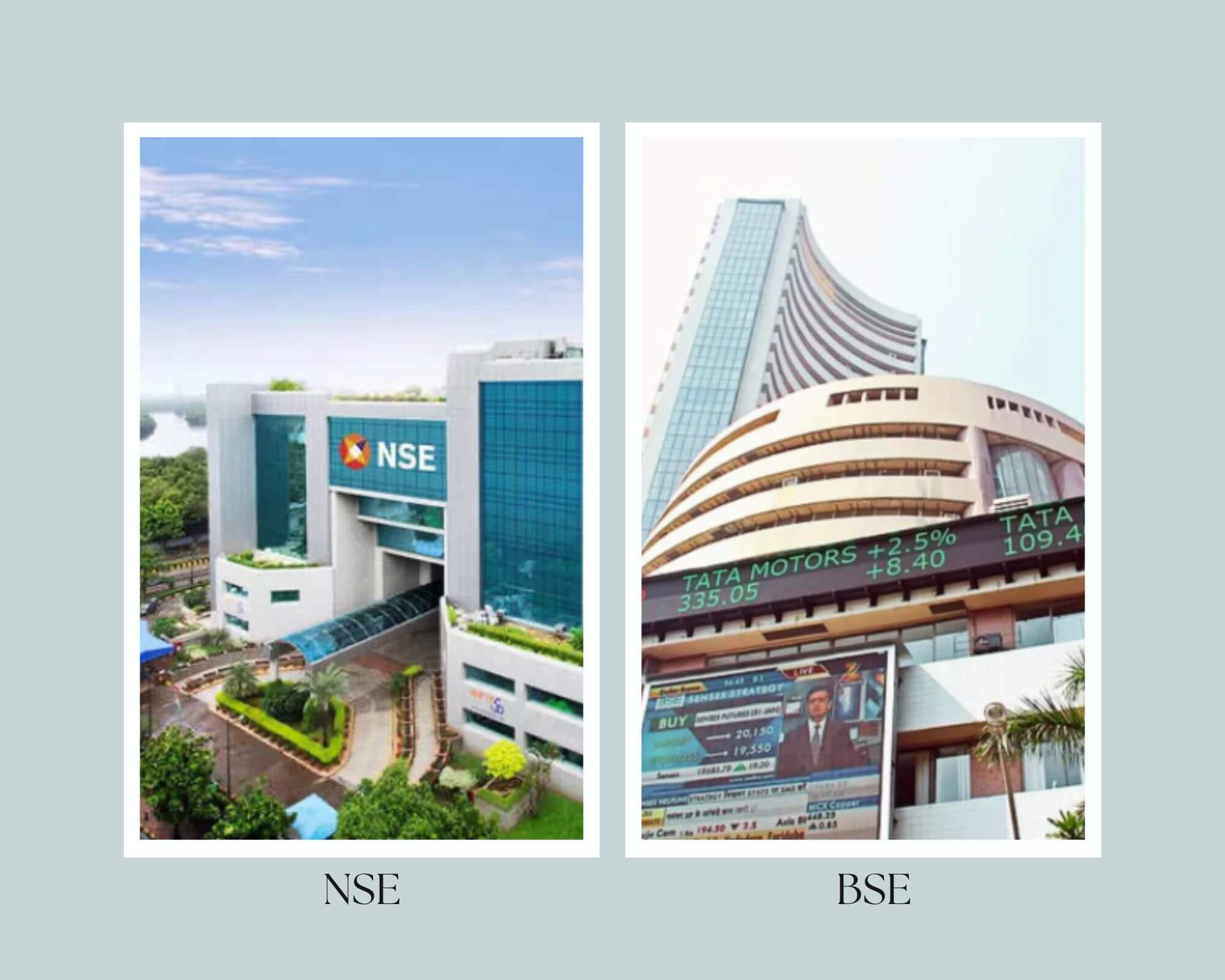 NSE or BSE homepage explanation